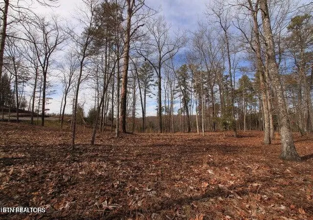 Photo 1 of Land for sale at Lot 4 Cliffmont, Jamestown, TN 38556 | MLS# 1300658 | Listing updated on 2026-05-27