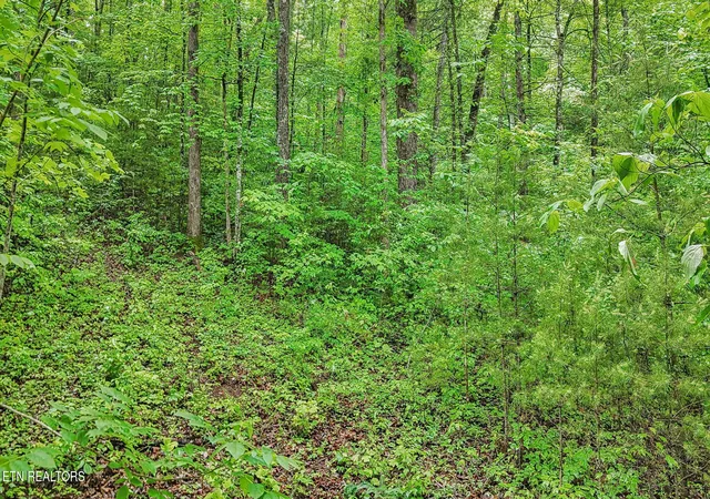 5th image of 1852 Oakwood Rd, Walland, TN 37886 | MLS# 1300924