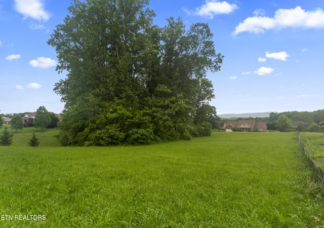 Photo 4 of Land for sale at 1157 Houston Springs Rd, Greenback, TN 37742 | MLS# 1301529 | Listing updated on 2026-03-04