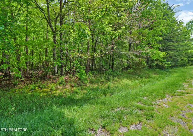 17th image of Emerald Pl Lot 6, Monterey, TN 38574 | MLS# 1301094