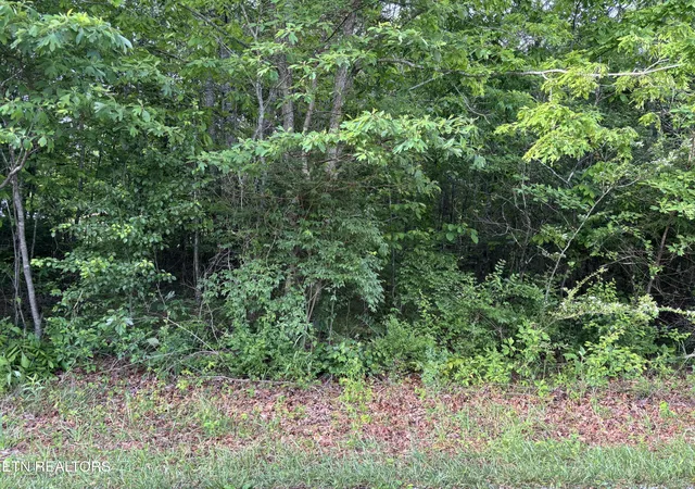 1st image of 20 Otomi Cir, Crossville, TN 38572 | MLS# 1301911