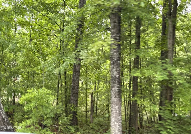 Photo 4 of Land for sale at 1654 E Cherokee Rd, Crossville, TN 38572 | MLS# 1301984 | Listing updated on 2026-05-29