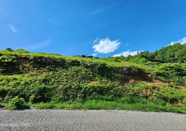 Homes for sale in La Follette, TN | Cameron Loop Ln, La Follette, TN 37766 | MLS# 1302081