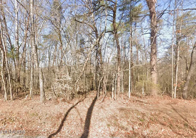 1st image of 111 Chanusi Way, Loudon, TN 37774 | MLS# 1301981