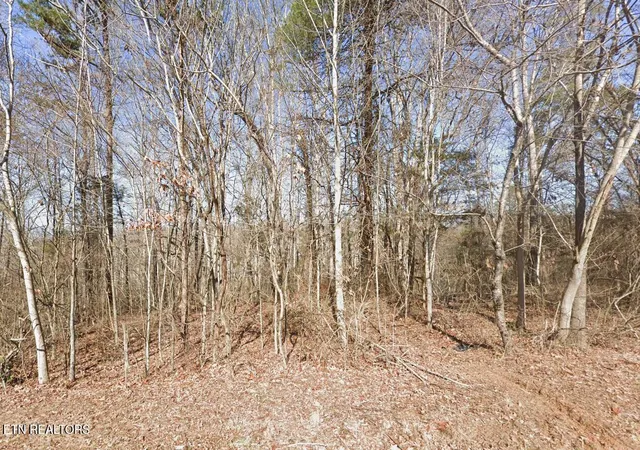 1st image of 113 Chanusi Way, Loudon, TN 37774 | MLS# 1301980