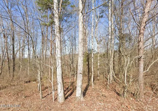 1st image of 115 Chanusi Way, Loudon, TN 37774 | MLS# 1301979