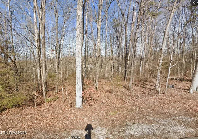 1st image of 117 Chanusi Way, Loudon, TN 37774 | MLS# 1301978