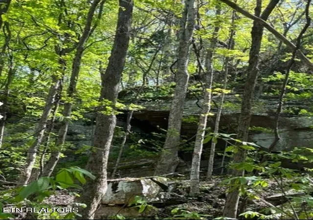 2nd image of 9543 Acre Sheep Bluff Rd, Cookeville, TN 38506 | MLS# 1302441