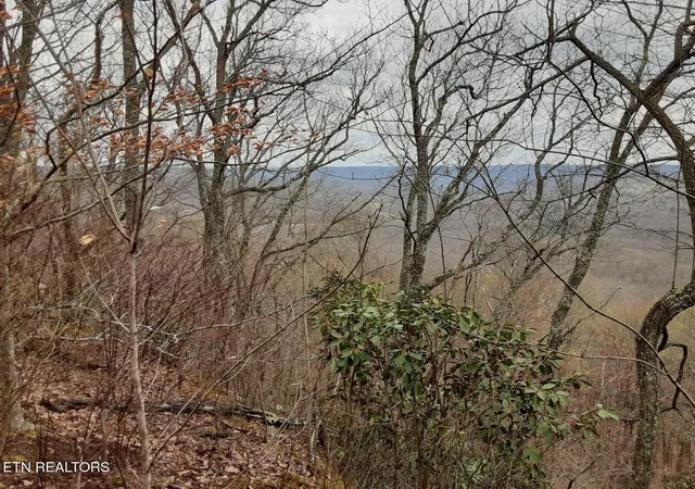 4th image of 9543 Acre Sheep Bluff Rd, Cookeville, TN 38506 | MLS# 1302441