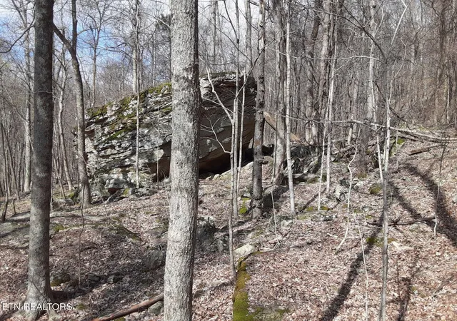 5th image of 9543 Acre Sheep Bluff Rd, Cookeville, TN 38506 | MLS# 1302441