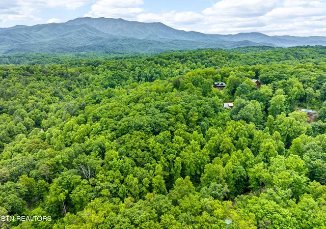 52nd image of 4230 Alyssa Way, Gatlinburg, TN 37738 | MLS# 1302643