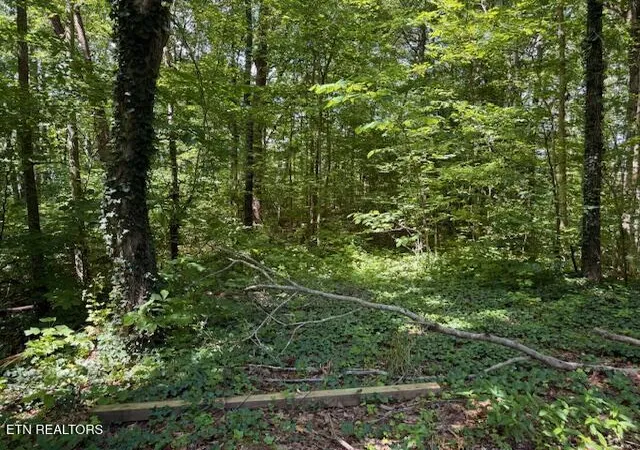 Photo 1 of Land for sale at Bates Gibson Rd, Sevierville, TN 37876 | MLS# 1304839 | Listing updated on 2026-10-12