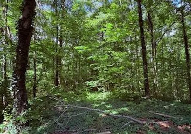 Photo 2 of Land for sale at Bates Gibson Rd, Sevierville, TN 37876 | MLS# 1304839 | Listing updated on 2026-10-12