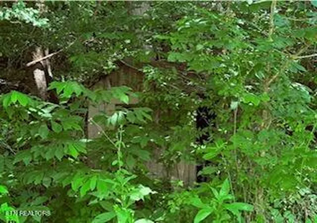 Photo 4 of Land for sale at Bates Gibson Rd, Sevierville, TN 37876 | MLS# 1304839 | Listing updated on 2026-10-12