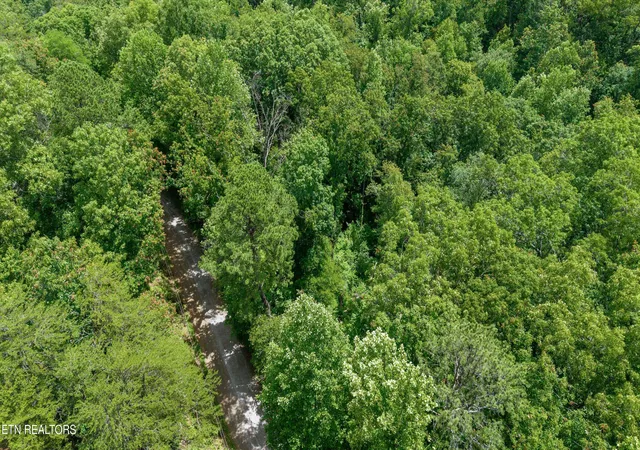 4th image of 1618 Walnut Flats Rd, Walland, TN 37886 | MLS# 1304915