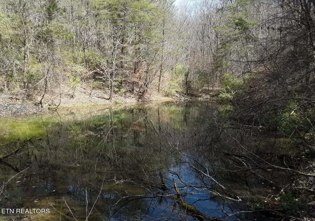 33rd image of S Rogers Rd, Seymour, TN 37865 | MLS# 1305124