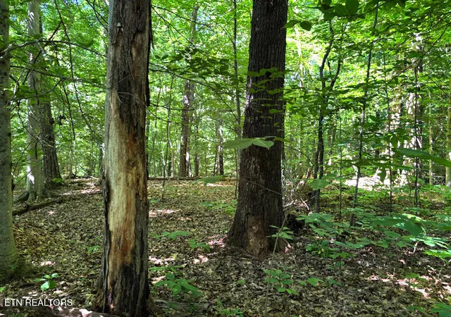 Photo 3 of Land for sale at 0 Topside Rd, Knoxville, TN 37920 | MLS# 1305168 | Listing updated on 2026-06-22