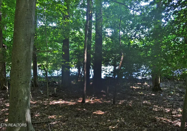Photo 4 of Land for sale at 0 Topside Rd, Knoxville, TN 37920 | MLS# 1305168 | Listing updated on 2026-06-22