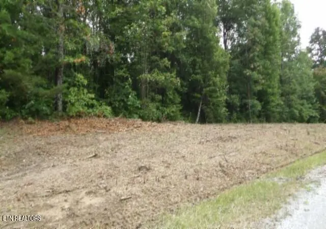Homes for sale in Wilder, TN | Lot 222 Hilltop Lane, Wilder, TN 38589 | MLS# 1305876