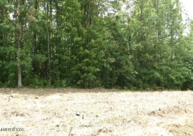 Homes for sale in Wilder, TN | Lot 222 Hilltop Lane, Wilder, TN 38589 | MLS# 1305876