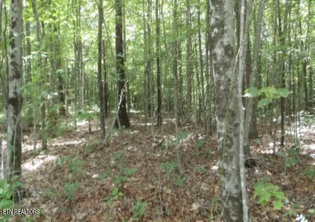 Homes for sale in Wilder, TN | Lot 48 Parkstown Ext Rd, Wilder, TN 38589 | MLS# 1305892
