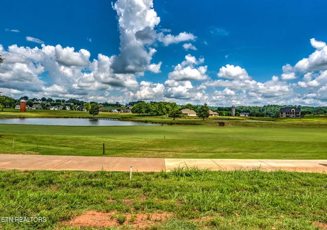 Homes for sale in Loudon, TN | 695 Black Bear Cir, Loudon, TN 37774 | MLS# 1306573