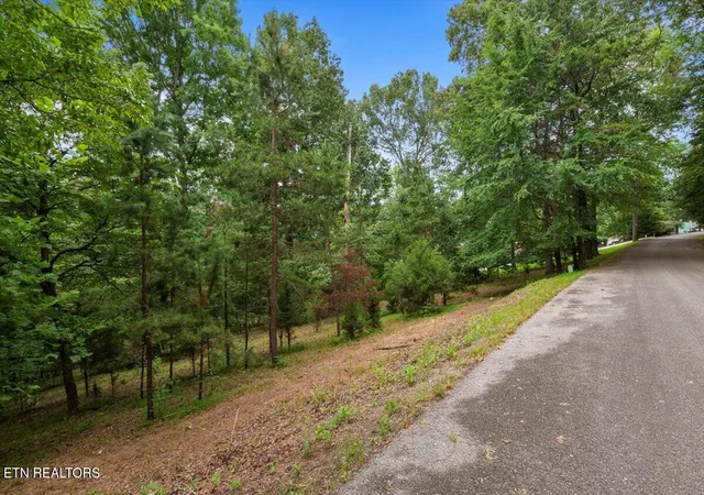 3rd image of 46, 47, 48 Bucks And Doe Lane, La Follette, TN 37766 | MLS# 1306638