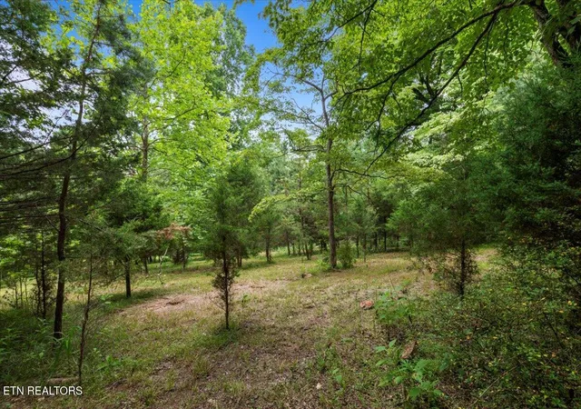 4th image of 46, 47, 48 Bucks And Doe Lane, La Follette, TN 37766 | MLS# 1306638