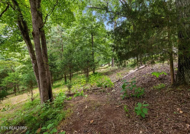 5th image of 46, 47, 48 Bucks And Doe Lane, La Follette, TN 37766 | MLS# 1306638
