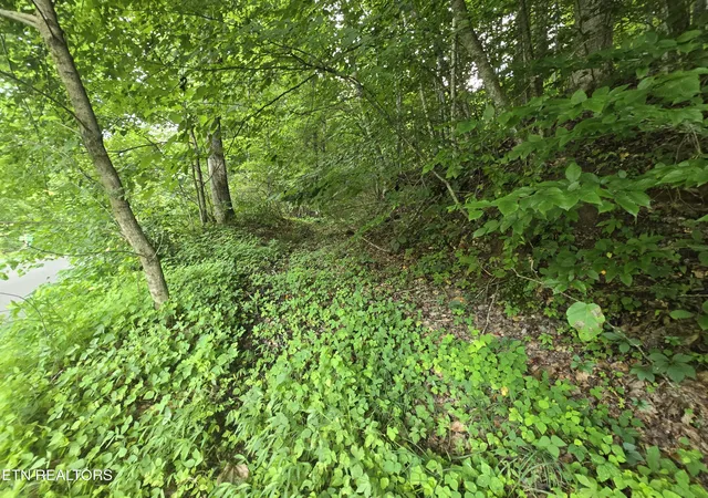 Photo 3 of Land for sale at 00 Left Poor Valley Rd, Pennington Gap, VA 24277 | MLS# 1306536 | Listing updated on 2026-08-29