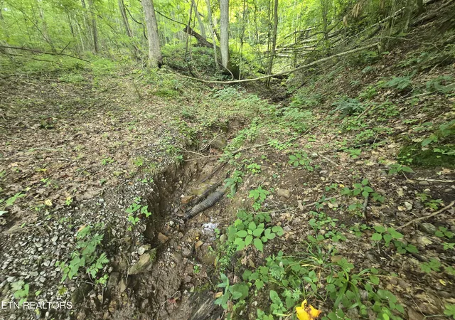 Photo 3 of Sale Pending at 00 Left Poor Valley Rd, Pennington Gap, VA 24277 | MLS# 1306536 | Listing updated on 2026-10-02