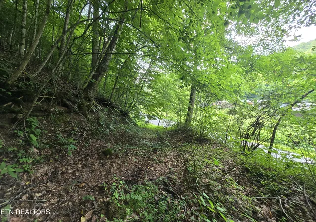 Photo 4 of Sale Pending at 00 Left Poor Valley Rd, Pennington Gap, VA 24277 | MLS# 1306536 | Listing updated on 2026-10-02