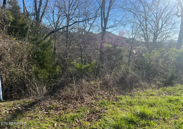 Homes for sale in Sharps Chapel, TN | Lot 356R Larayne Hollow Rd, Sharps Chapel, TN 37866 | MLS# 1307130