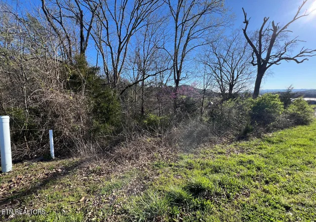 Homes for sale in Sharps Chapel, TN | Lot 356R Larayne Hollow Rd, Sharps Chapel, TN 37866 | MLS# 1307130