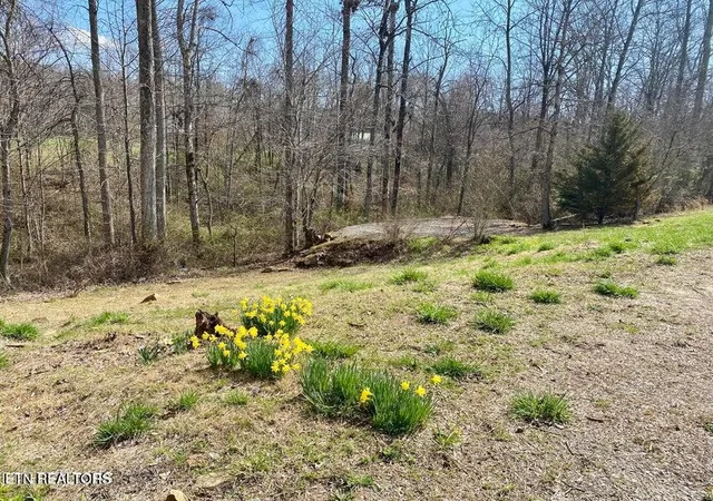 Homes for sale in Crossville, TN | 164 Norris St, Crossville, TN 38572 | MLS# 1306945