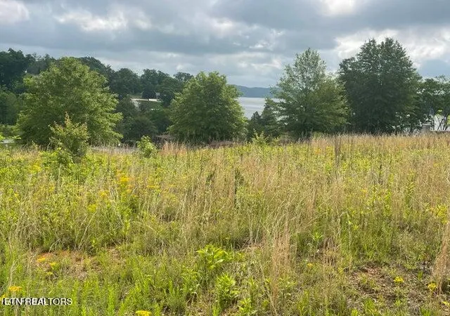 3rd image of Serenity Dr, Harriman, TN 37748 | MLS# 1307591