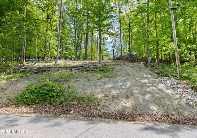 Homes for sale in Andersonville, TN | Hagaman Rd, Andersonville, TN 37705 | MLS# 1308257