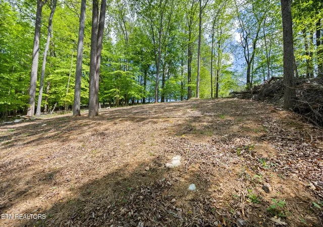 Homes for sale in Andersonville, TN | Hagaman Rd, Andersonville, TN 37705 | MLS# 1308257