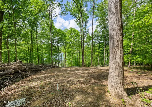 Homes for sale in Andersonville, TN | Hagaman Rd, Andersonville, TN 37705 | MLS# 1308257