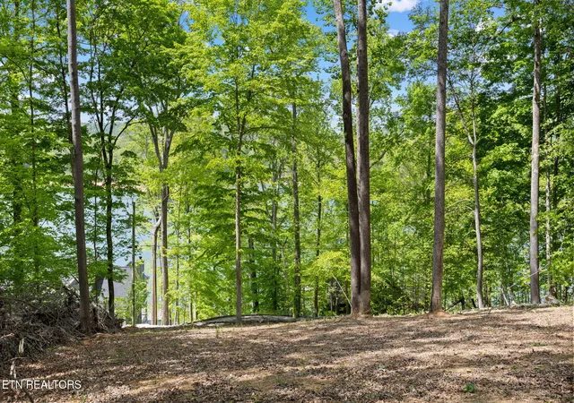 Homes for sale in Andersonville, TN | Hagaman Rd, Andersonville, TN 37705 | MLS# 1308257