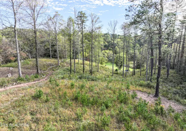 Photo 1 of Sale Pending at Long Branch Rd Off, Del Rio, TN 37727 | MLS# 1308511 | Listing updated on 2025-11-11