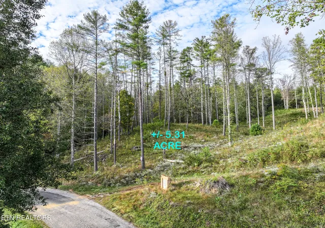 Photo 2 of Sale Pending at Long Branch Rd Off, Del Rio, TN 37727 | MLS# 1308511 | Listing updated on 2025-11-11