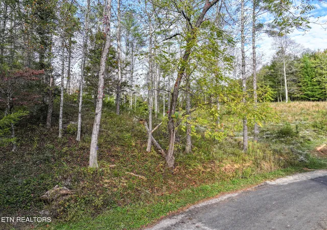 Photo 3 of Sale Pending at Long Branch Rd Off, Del Rio, TN 37727 | MLS# 1308511 | Listing updated on 2025-11-11