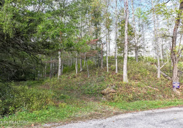 Photo 4 of Sale Pending at Long Branch Rd Off, Del Rio, TN 37727 | MLS# 1308511 | Listing updated on 2025-11-11