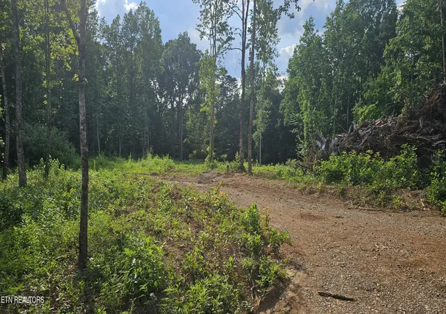 1st image of 2834 Bradley Lake Ln, Knoxville, TN 37921 | MLS# 1309026