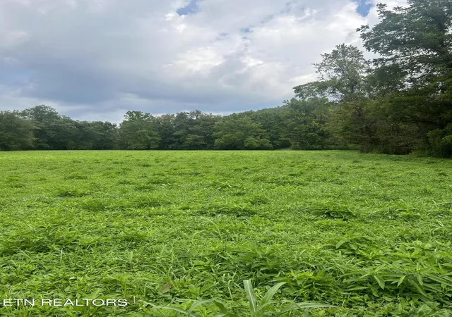 2nd image of 6116 Paint Rock Rd, Oneida, TN 37841 | MLS# 1309382