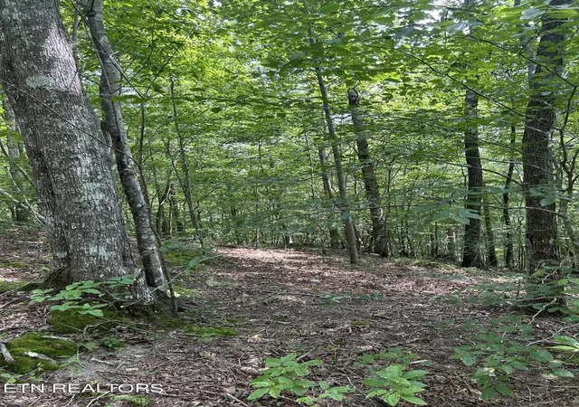 3rd image of 6116 Paint Rock Rd, Oneida, TN 37841 | MLS# 1309382