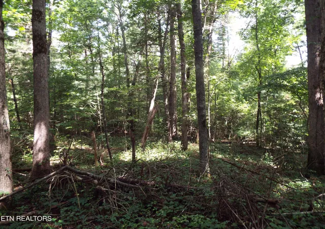 Photo 3 of Land for sale at Bob Tollett Loop, Crossville, TN 38555 | MLS# 1309349 | Listing updated on 2026-07-28