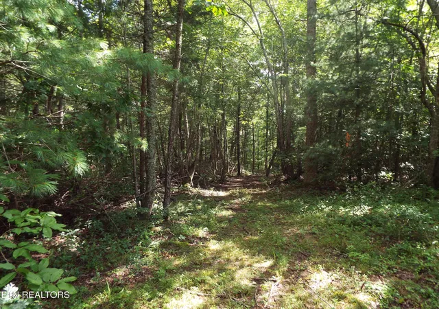 Photo 4 of Land for sale at Bob Tollett Loop, Crossville, TN 38555 | MLS# 1309349 | Listing updated on 2026-07-28