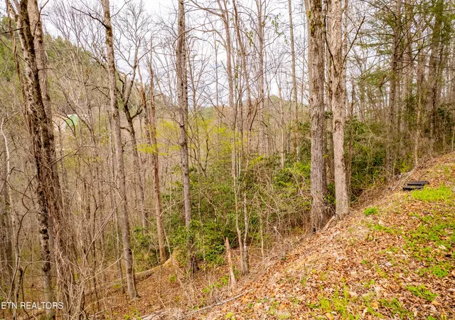 3rd image of 483 Chetola Trail, Townsend, TN 37882 | MLS# 1309240